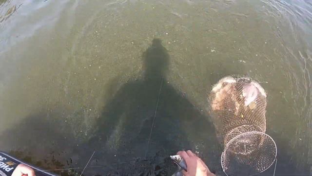 Сом на шайбу. Рыбалка на Волге смотреть онлайн