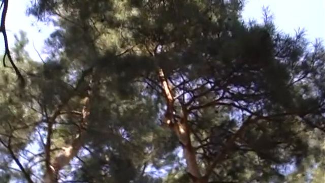 Рами Блект интервью программе Медикус