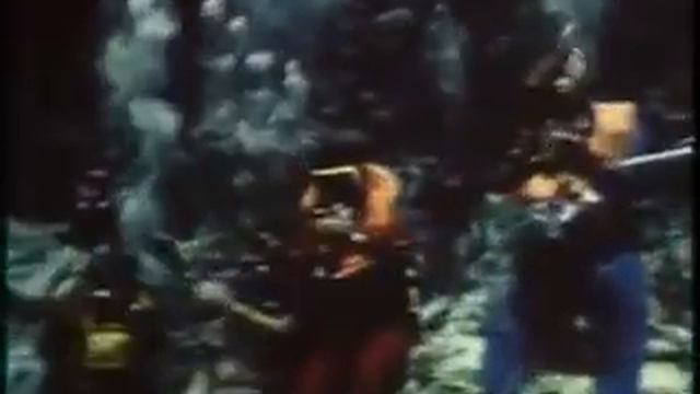 Вокруг света 1989 год  Животины грызут девушек