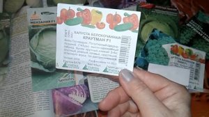 КАПУСТА! ЛУЧШИЕ СОРТА К НОВОМУ СЕЗОНУ! СКОРО СЕЕМ КАПУСТУ!
