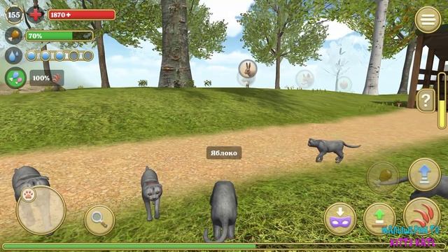 ?Симулятор КОТА и КОШКИ? Охота МЫШЬ Босс в СИМЕ cat sim