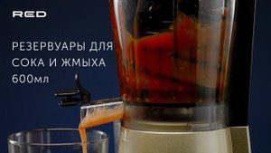 Соковыжималка RED solution RJ-930S