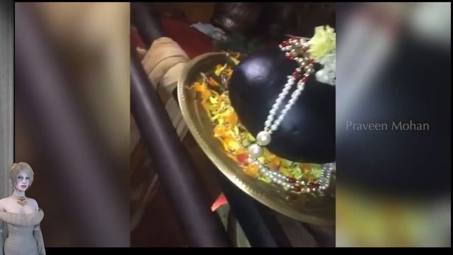 Зачем вращаются лингамы? [№ B-043.29.11.2020.] смотреть онлайн