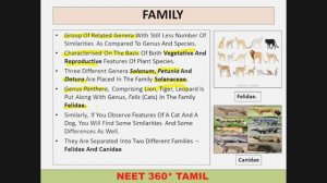 TAXONOMIC CATEGORIES | FAMILY | MODULE 15 | NEET BIOLOGY | CHAP 1 | THE LIVING WORLD