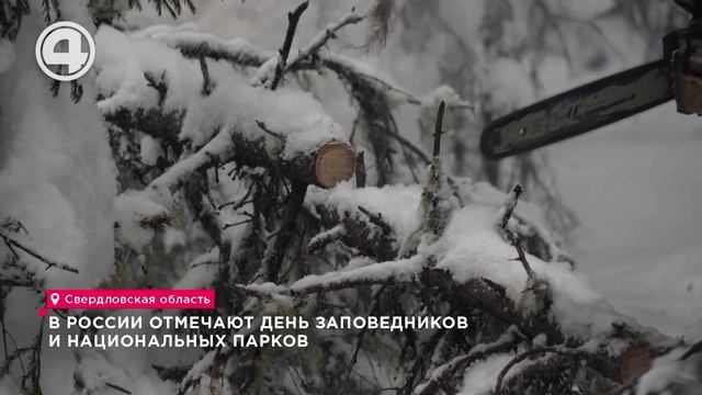 В России отмечают День заповедников и национальных парков