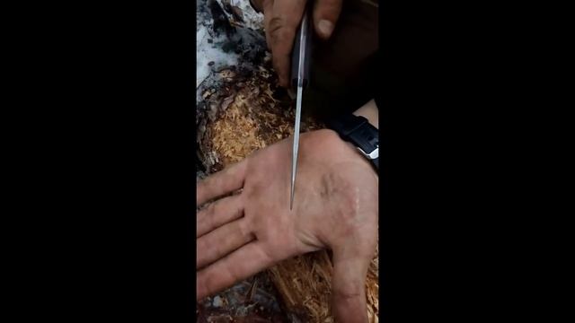 City HUNTER AUS-8 смотреть онлайн