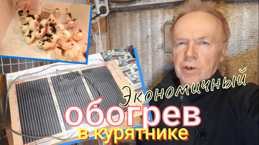 Экономичный обогрев курятника своими руками