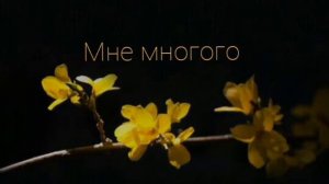 песня "ты сегодня просто бомба💣"популярное видео