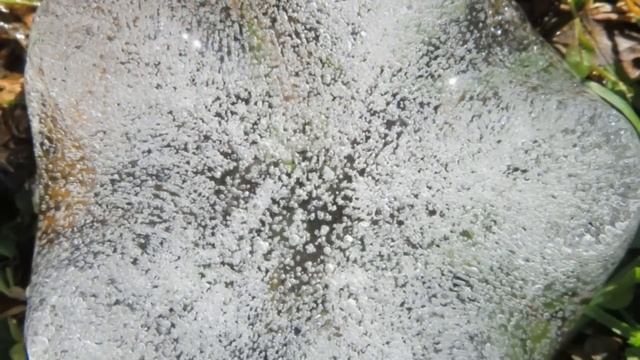 Валентина Миронова СВЕТ И АКУПУНКТУРА Новая статья (март 2023г.)на сайте Проза.ру смотреть онлайн