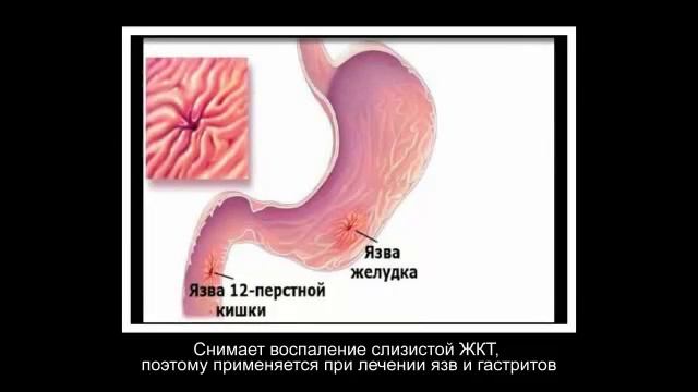 Антилипидный чай Тяньши смотреть онлайн