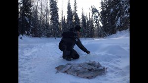 РЫБУ ДАЖЕ ИСКАТЬ НЕ ПРИШЛОСЬ,ТОЛЬКО ОПУСТИЛ МОРМЫШКУ И ПОНЕСЛАСЬ.ЗИМНЯЯ РЫБАЛКА НА ЯМАЛЕ В -30