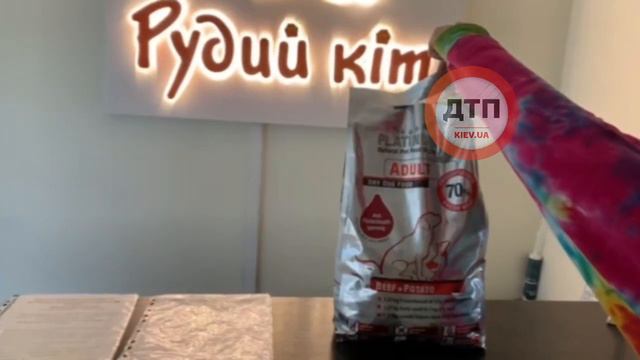 Рекомендуем Рыжий кот для лечения животных) смотреть онлайн