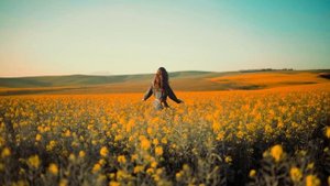 Авторская работа _Медовое лето_.mp4