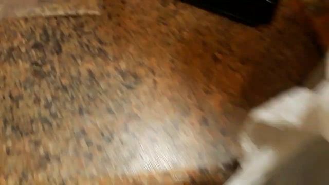 РАССАДА ПОМИДОР БЕЗ ПИКИРОВКИ / ПОСЕВ СЕМЯН НА РАССАДУ / ОБЗОР ЛУЧШИХ СОРТОВ ТОМАТОВ смотреть онлайн