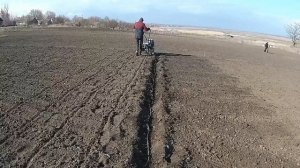 Посадка огорода делаем борозды мотоблоком