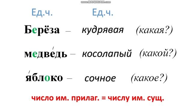 Единственное и множественное число имён прилагательных.