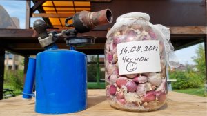 хранение чеснока в банке дома