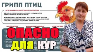 Птичий грипп - ОПАСНОЕ заболевание кур. Профилактика или как помочь курам.
