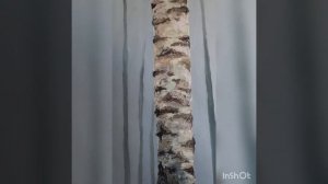 Как писать березы и незабудки маслом. Birch tree, forget-me-nots oil painting tutorial.