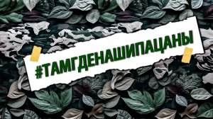 Жёсткая и правдивая песня про СВО #тамгденашипацаны #специальнаяоперация #сво