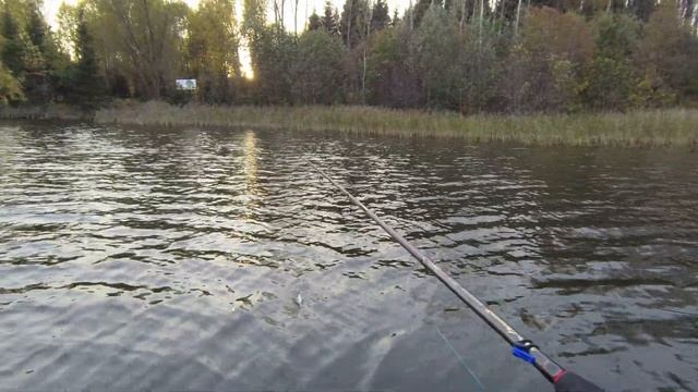 Рыбалка на Яузском водохранилище октябрь 2020.