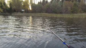 Рыбалка на Яузском водохранилище октябрь 2020.