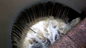 Гигантскую Ванну Обнаружили в Баболовском Парке! Какими Технологиями Была Создана Загадочная Чаша?