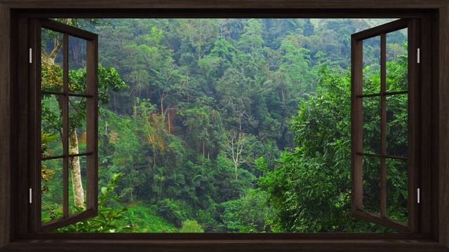 4K Jungle open window view with birds singing - Relaxing, Calming, Ambience, white noise смотреть онлайн