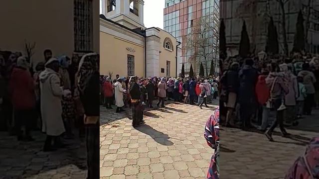 С Вербным Воскресеньем, дорогие мои!!! смотреть онлайн