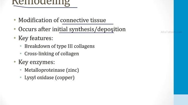 Патология USMLE - 1. Общие темы - 9.Заживление ран и рубцов