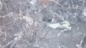 Боец ВС РФ пожалел храброго ВСУшника, что спас его от смерти