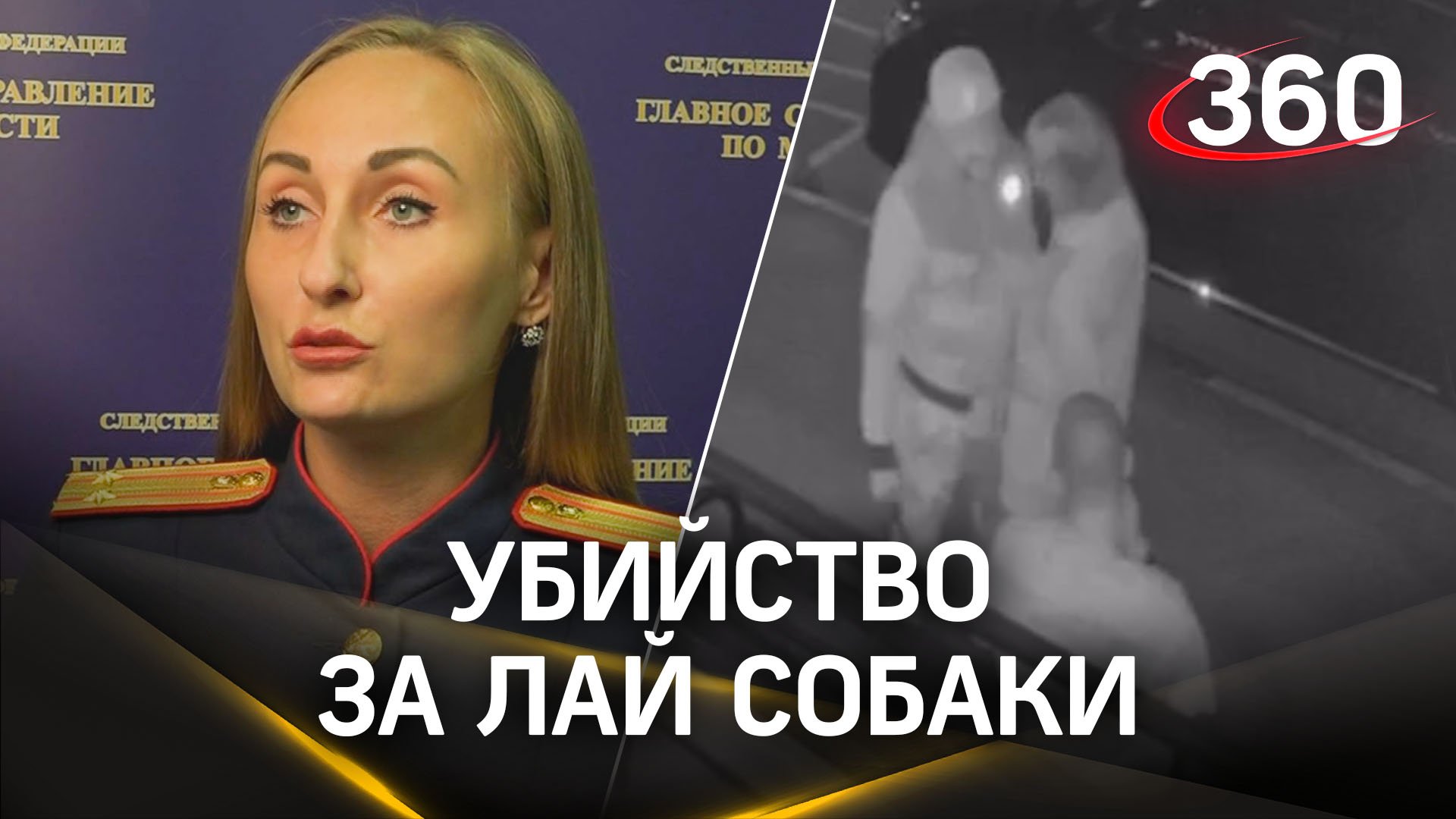 Убийство за лай собаки: прохожий в Звенигороде зарезал мужчину