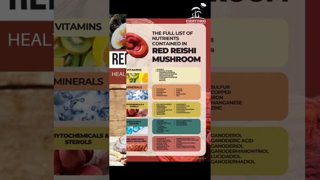 Why eat Reishi mushrooms? #mushroom #short #health