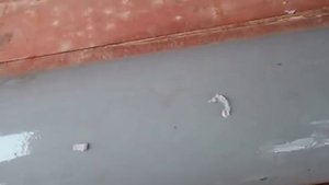 Яблоня вишня слива в саду для сада.Дренаж для полива подкормки корней деревьев.