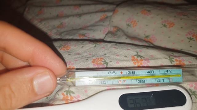 Электронный градусник Xiaomi: обзор и тесты, сравнение с ртутным термометром смотреть онлайн