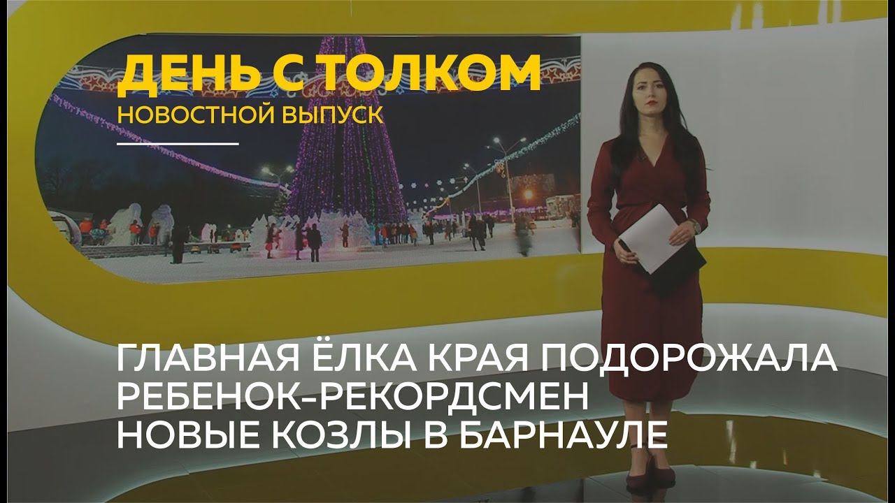 «День с Толком». 08.11.2019. Выпуск 15:30