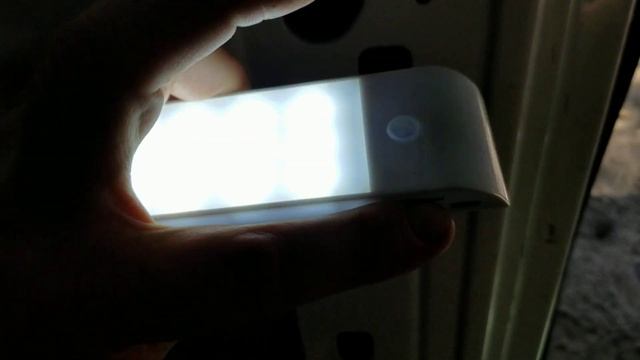 Van Tour of Ford E250 with 2 dogs смотреть онлайн