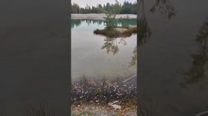 Лазурный карьер ,озеро Солёное,Прогресское сельское поселение, Боровичский район, Новгородская обла
