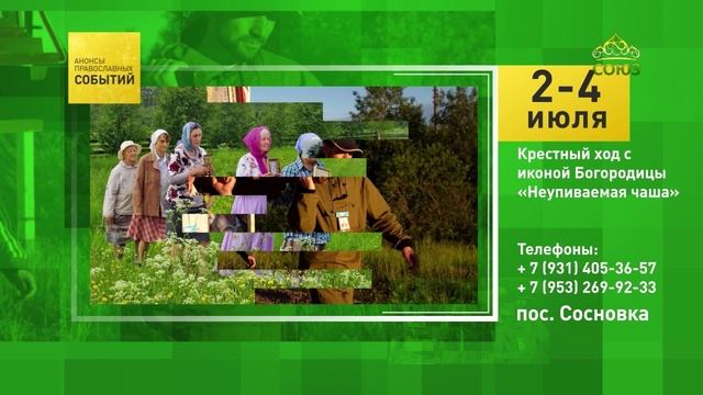 Сосновка. Крестный ход с иконой Богородицы «Неупиваемая чаша»