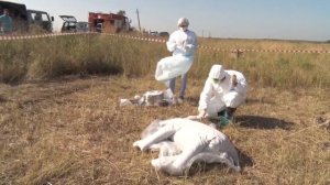 Учение ветеринарных врачей Обнаружение очага сибирской язвы