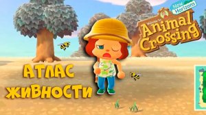 Мой мир в Энимал Кроссинг. Атлас живности. Animal Crossing New Horizonsmal. Озвучка РэдХэд.