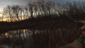 Как поймать судака в коряжнике / Ловля судака на джиг / Судак