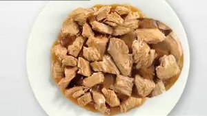 purina felix video 2