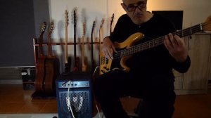 Warwick blue cab 30 bass amp