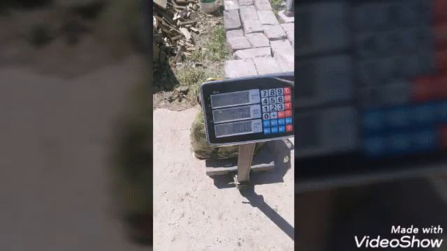 Фото отчёт рыбалки на водоемах в Кокино за 17.05.19. смотреть онлайн