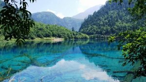 Сакис Рувас.Греческий популярный певец.