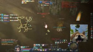 Aion Classic NA 1.2 - Gladiator PvP | Bamb