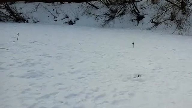 Пензенская область, река Хопер смотреть онлайн