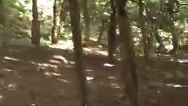 о. Петрова (Лазовский заповедник).wmv смотреть онлайн