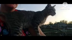 Жизнь в селе#Казахстан#Чистим навоз за сараем.